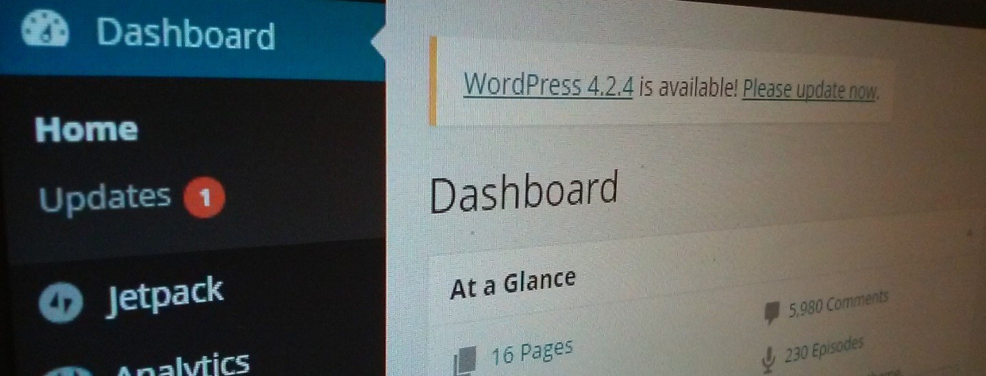 Disadvantages of A WordPress Website